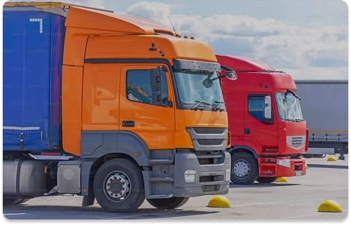 ტრეიდ მარკეტინგი